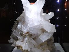 -中国地质大学逸夫博物馆