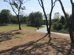 -盘龙城国家考古遗址公园