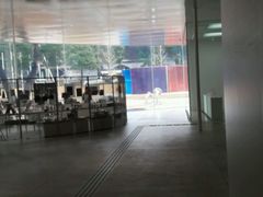 -金泽21世纪美术馆