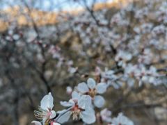 景点-北京灵山风景区