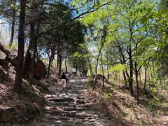 -北京鹫峰国家森林公园