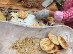 -老西关黄老太牛肉烧饼