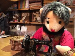 -济州岛泰迪熊博物馆