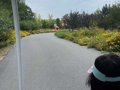 -永定河休闲森林公园