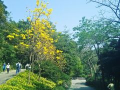 -云溪植物园
