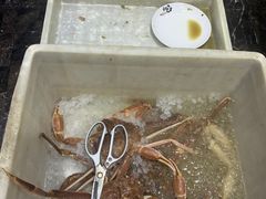 -初色海鲜自助(万丰路店)