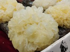 -长春农博园