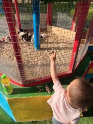 -萌宠亲子动物乐园(槐房万达店)