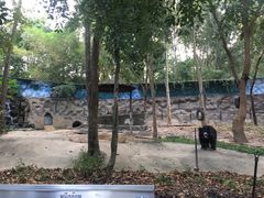 -清迈夜间动物园