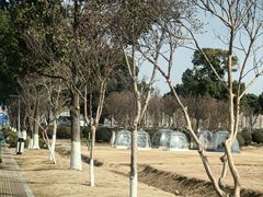 -漕湖湿地公园