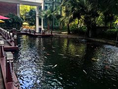 -Waterfall瀑布湾优健源(华侨城店)