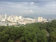 -金鸡山公园