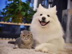-壹点灵·心理咨询中心(中山公园店)