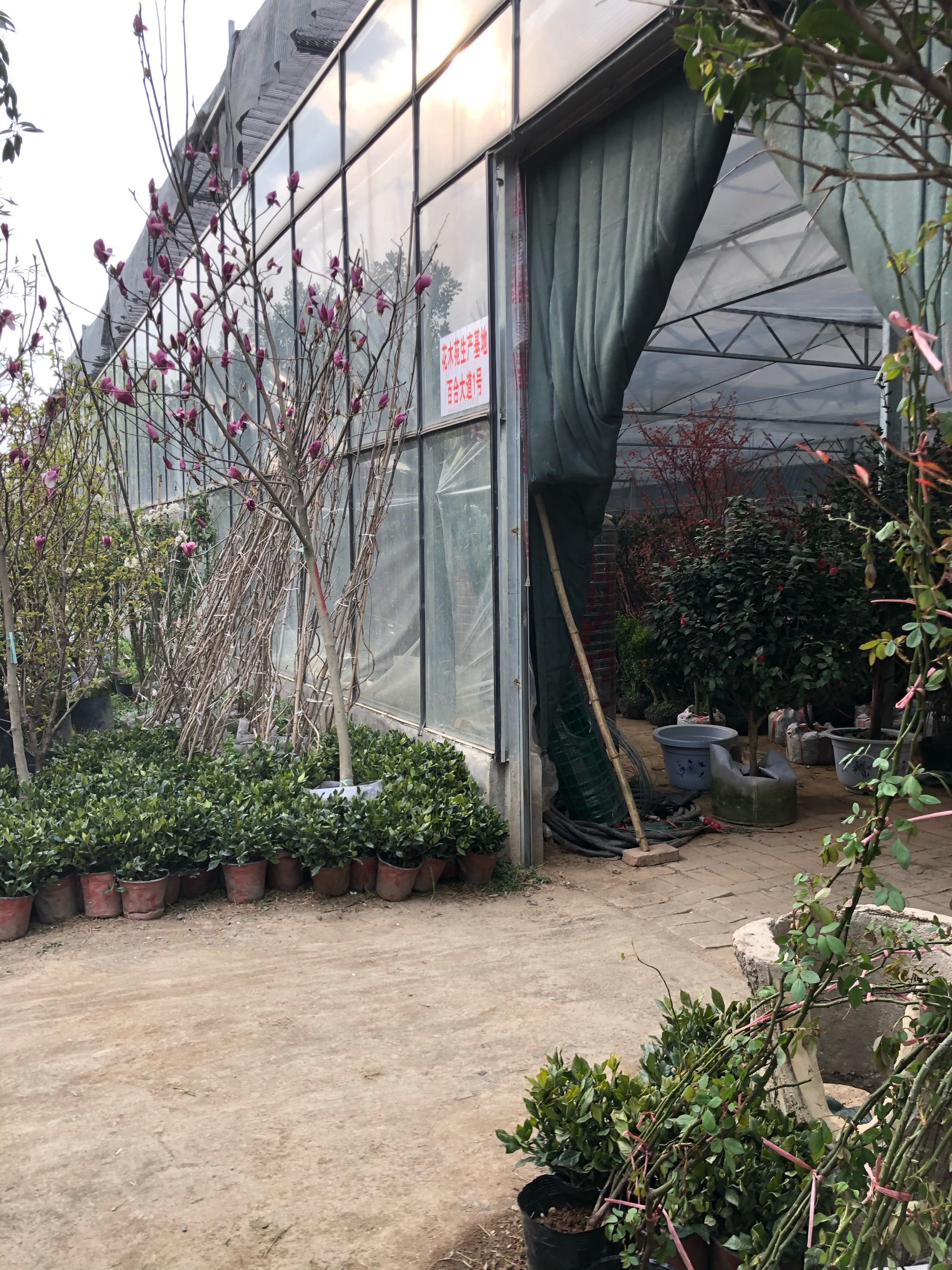 之前子午路的雁锦花卉市场全拆了搬到这里了