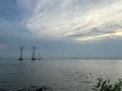 -宝安西湾红树林湿地公园