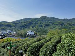 -龙井壹号·茶缘山景宴(龙井村店)