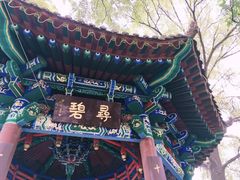 景点-西宁市人民公园(城西区)