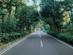 -南京东郊国宾馆