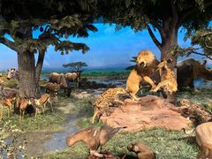 -国家自然博物馆