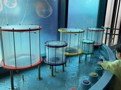 -中国宋庆龄青少年科技文化交流中心