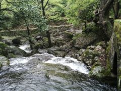 -白云源风景区