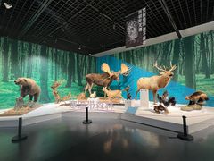 -中国湿地博物馆