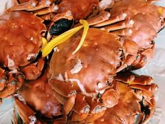 -蟹榭·本帮江浙菜·蟹宴(五角场合生汇商场店)