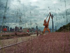 -北外滩滨江绿地