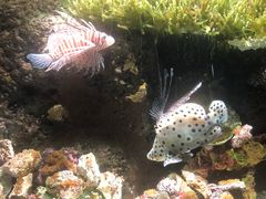 -杭州海底世界