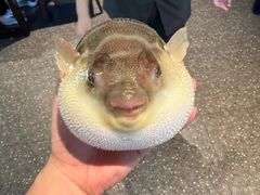 -永安鱼庄·镇江菜(东吴路店)