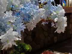 -樱宿日式和牛烧肉(五道口店)