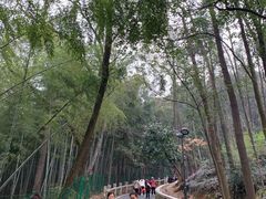 -灵岩山风景区