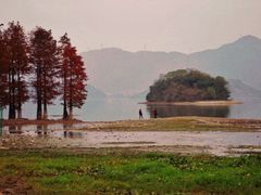 -四明湖
