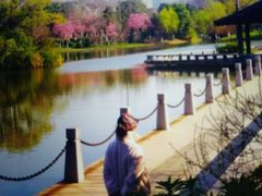 -荆川公园