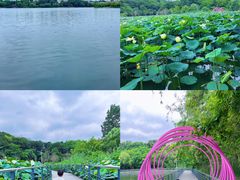 -南京珍珠泉风景区