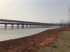 -九龙湖公园