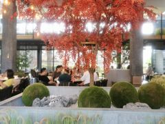 -拈菜(观音桥阳光世纪店)