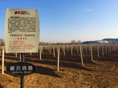 -北京张裕爱斐堡酒庄