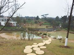 -铁山坪森林公园