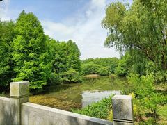 -梁鸿国家湿地公园