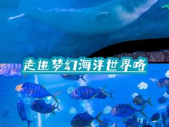 -正佳极地海洋世界