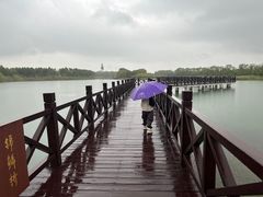 -南湖湿地公园