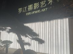 -罗红摄影艺术馆