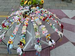 -竹乡人家大鱼头(南山竹海店)