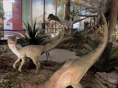 -湖南省地质博物馆