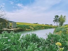 -湖山人家·湖景餐厅·特色农家菜(太湖西山店)