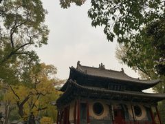 -晋祠公园