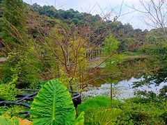 -广州市石门国家森林公园