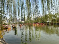 -南翠屏公园