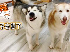 -生活本该如此北京小馆(周庄嘉园店)